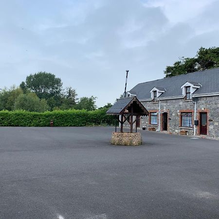 Cut Limestone Apartment Riverside Lodge Carlow Exterior photo